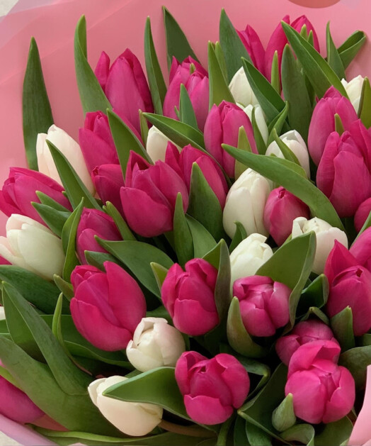 Elegant bouquet of 45 fresh tulips